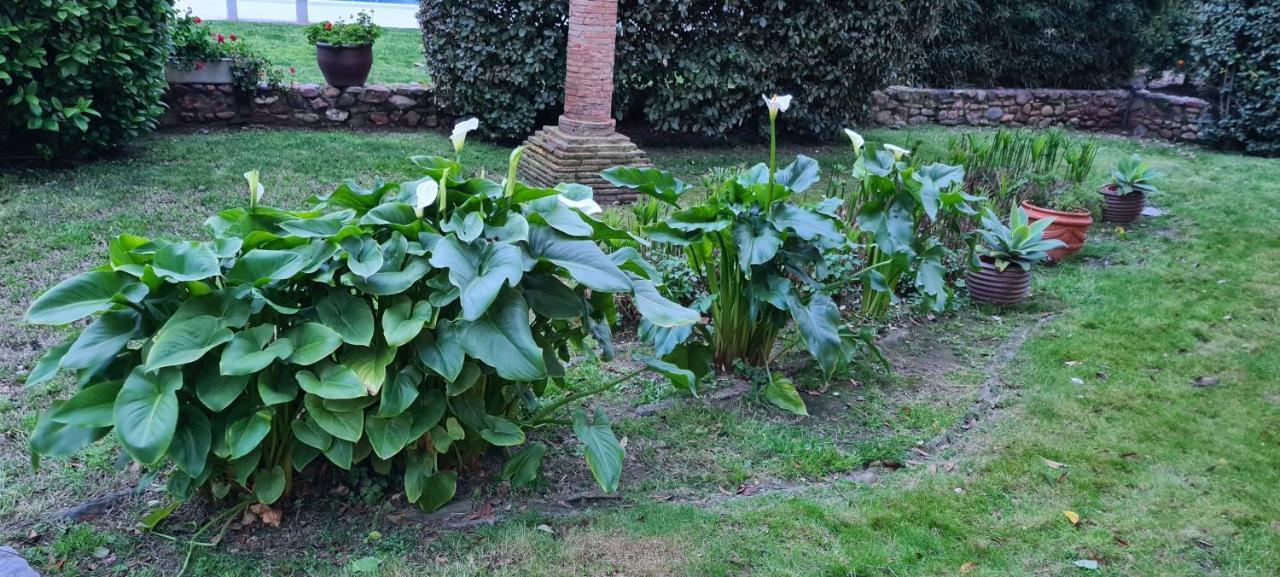 Alqueria Calatrava B&B Burriana Bagian luar foto